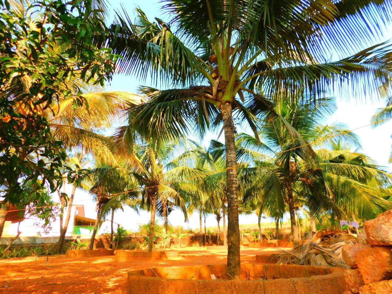 Coconut Tree Resort Gokarna Gokarna  Zewnętrze zdjęcie