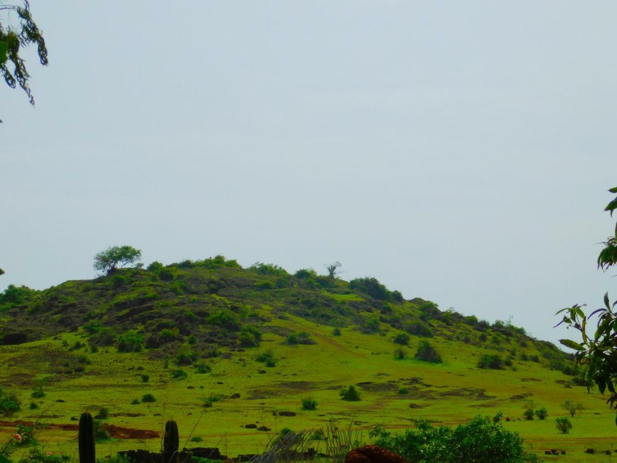 Coconut Tree Resort Gokarna Gokarna  Zewnętrze zdjęcie